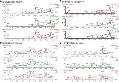 Multiomics analysis of metabolic heterogeneity in cervical cancer cell lines with or without HPV